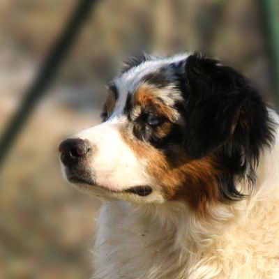 pepperDA1BE85A-166A-B9C9-AA8E-2C2F5A902B8A.jpg
