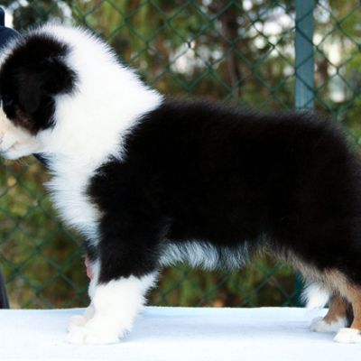 02-arwen1F354A44-0C1F-D7FB-3E93-DF7FDDDF4FA7.jpg