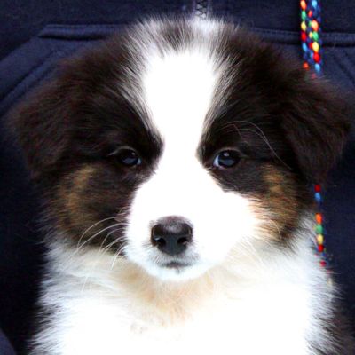 03-arwen09479CA4-BCFE-1254-8245-EAB1506E84B1.jpg