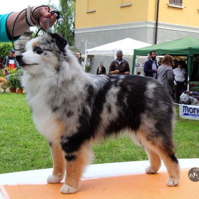 4-maggio-20245EA2454B-EBD3-2922-1189-1AA23369FC0C.jpg